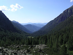 ANDREA BOSO STUDIO TECNICO SISTEMA AMBIENTE CASTELLO TESINO. PROGETTI E SISTEMI PER IL BOSCO E L'EDILIZIA RURALE