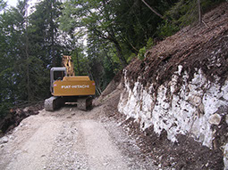 ANDREA BOSO STUDIO TECNICO FORESTALE SISTEMA AMBIENTE CASTELLO TESINO. PROGETTI E SISTEMI PER IL BOSCO E L'EDILIZIA RURALE