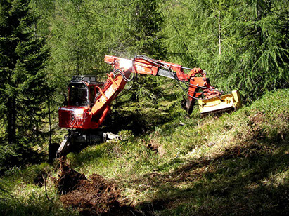 ANDREA BOSO STUDIO TECNICO SISTEMA AMBIENTE CASTELLO TESINO. PROGETTI E SISTEMI PER IL BOSCO E L'EDILIZIA RURALE