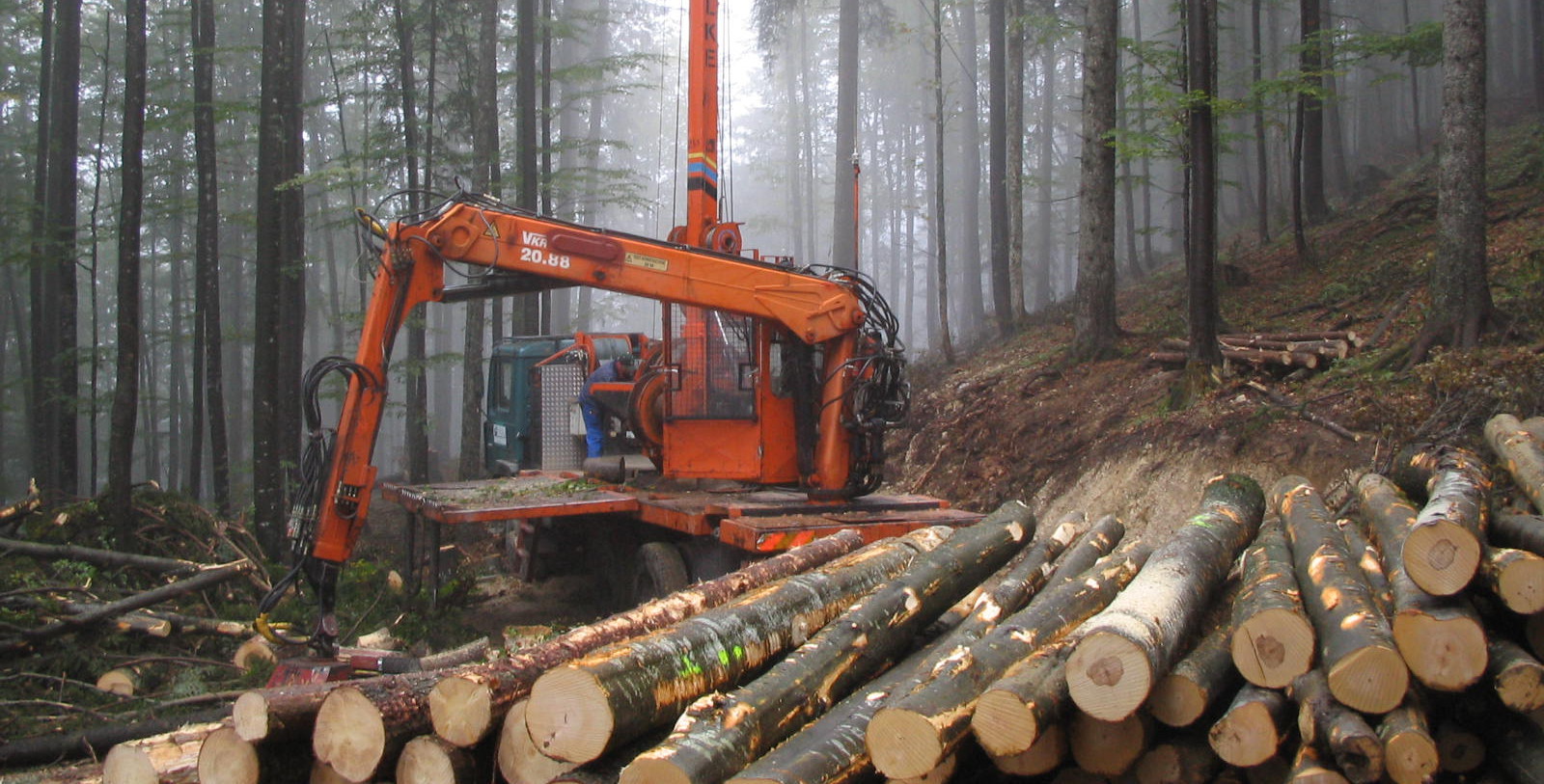 ANDREA BOSO STUDIO TECNICO SISTEMA AMBIENTE CASTELLO TESINO. PROGETTI E SISTEMI PER IL BOSCO E L'EDILIZIA RURALE