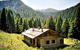 ANDREA BOSO STUDIO TECNICO SISTEMA AMBIENTE CASTELLO TESINO. PROGETTI E SISTEMI PER IL BOSCO E L'EDILIZIA RURALE