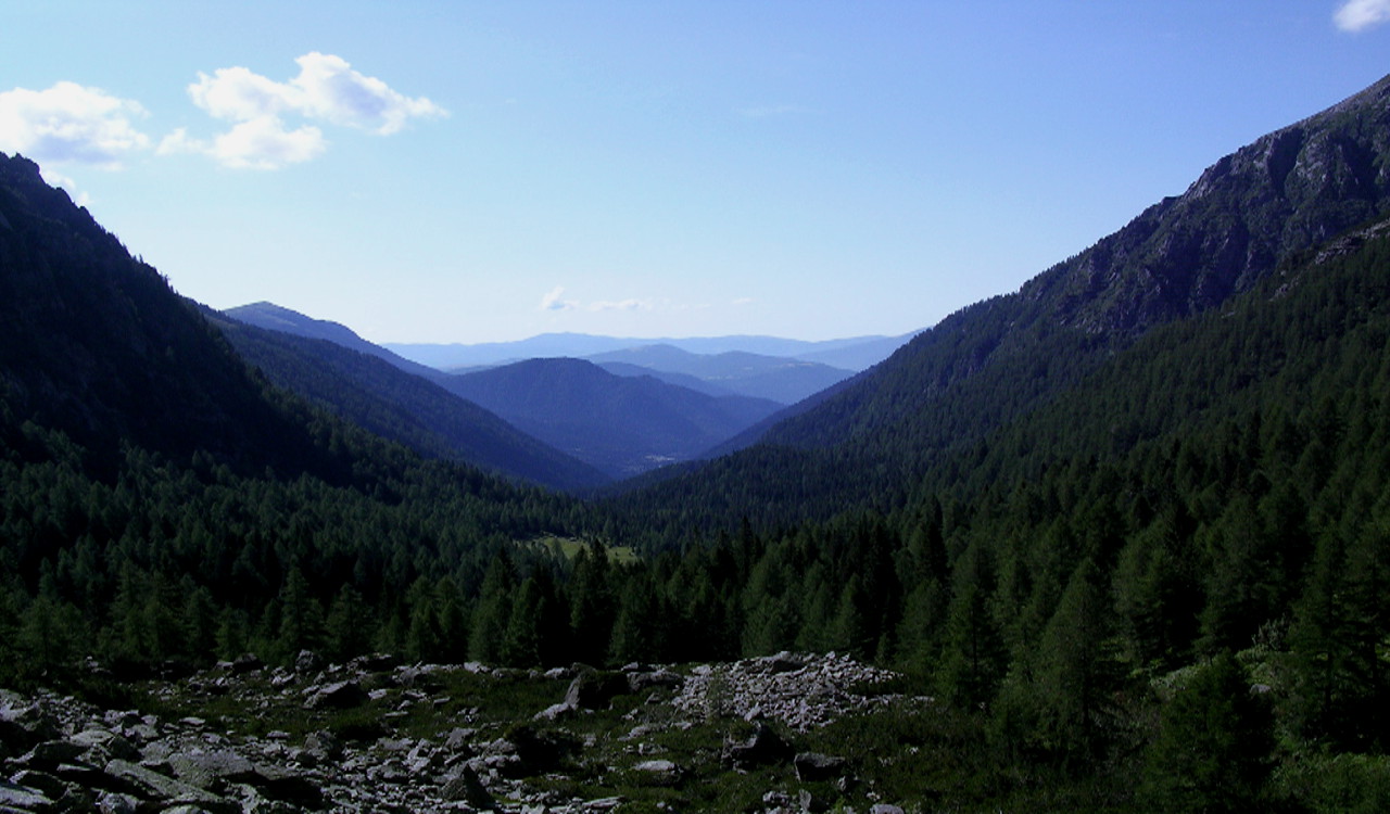 STUDIO TECNICO SISTEMA AMBIENTE CASTELLO TESINO. PROGETTI E SISTEMI PER IL BOSCO E L'EDILIZIA RURALE